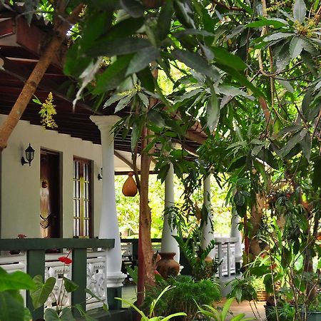 Sigiri Rock Side Home Stay Sigirîya Extérieur photo
