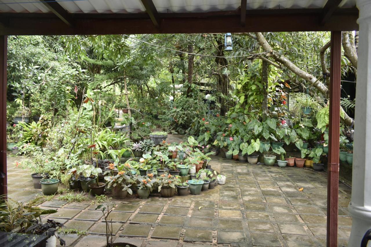 Sigiri Rock Side Home Stay Sigirîya Extérieur photo