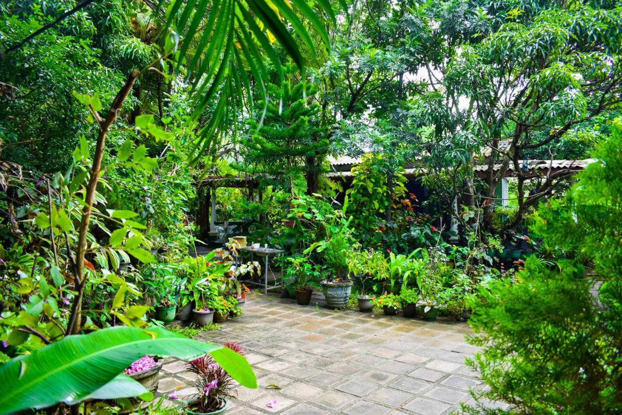 Sigiri Rock Side Home Stay Sigirîya Extérieur photo