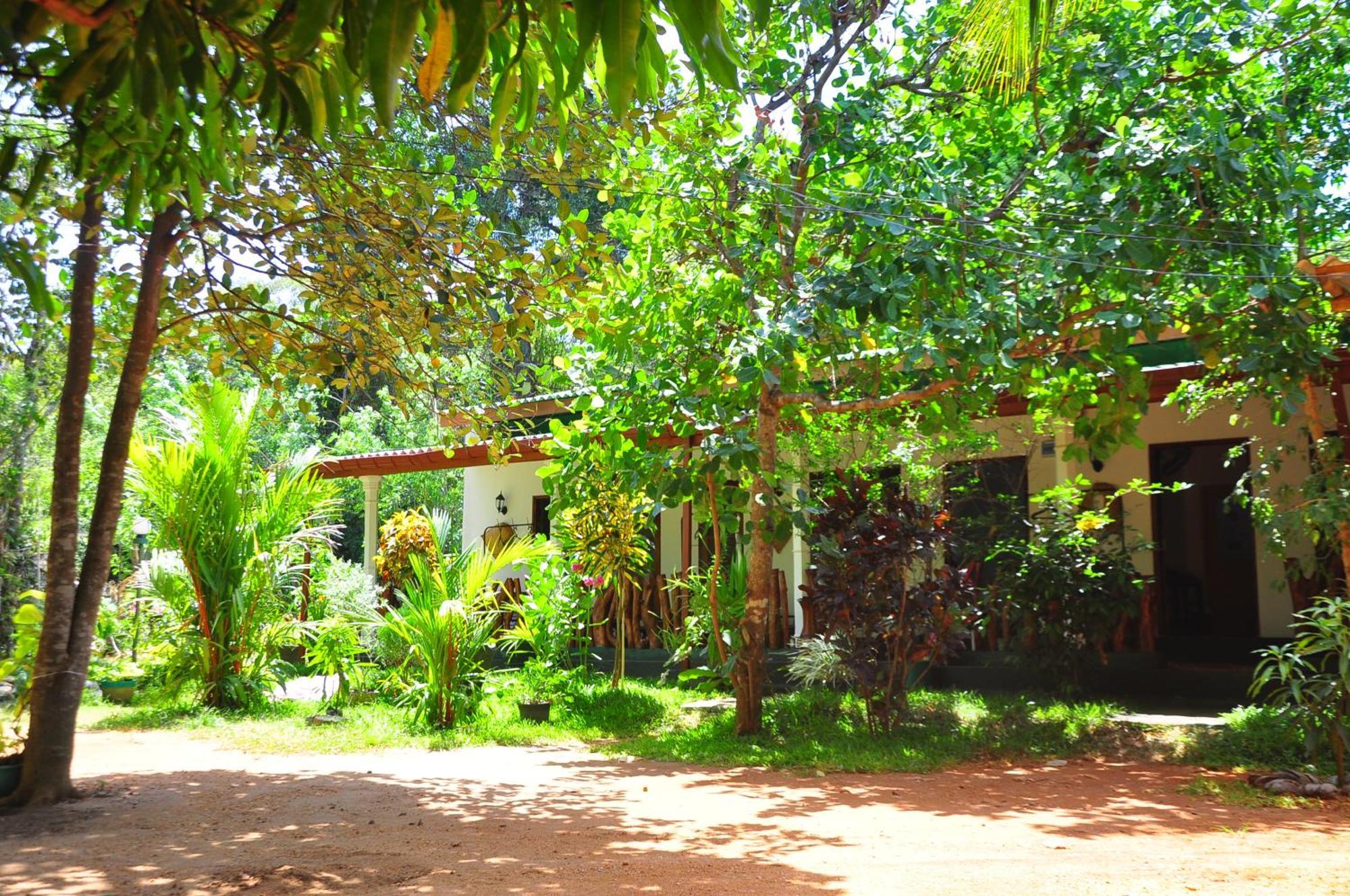 Sigiri Rock Side Home Stay Sigirîya Extérieur photo