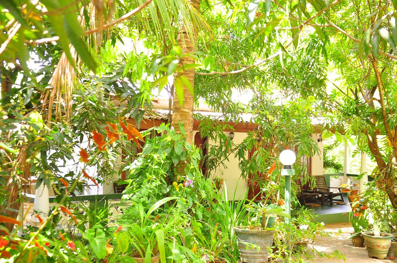 Sigiri Rock Side Home Stay Sigirîya Extérieur photo