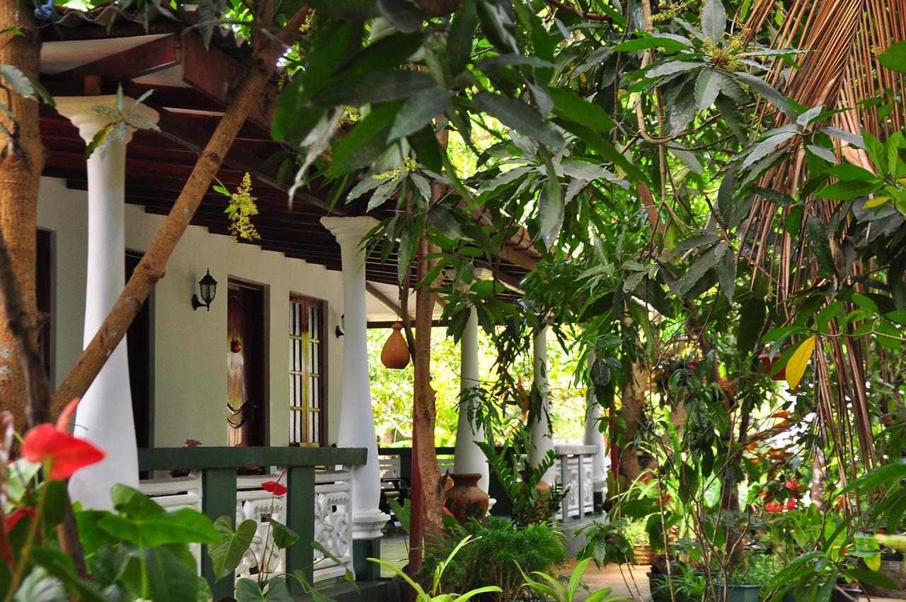 Sigiri Rock Side Home Stay Sigirîya Extérieur photo