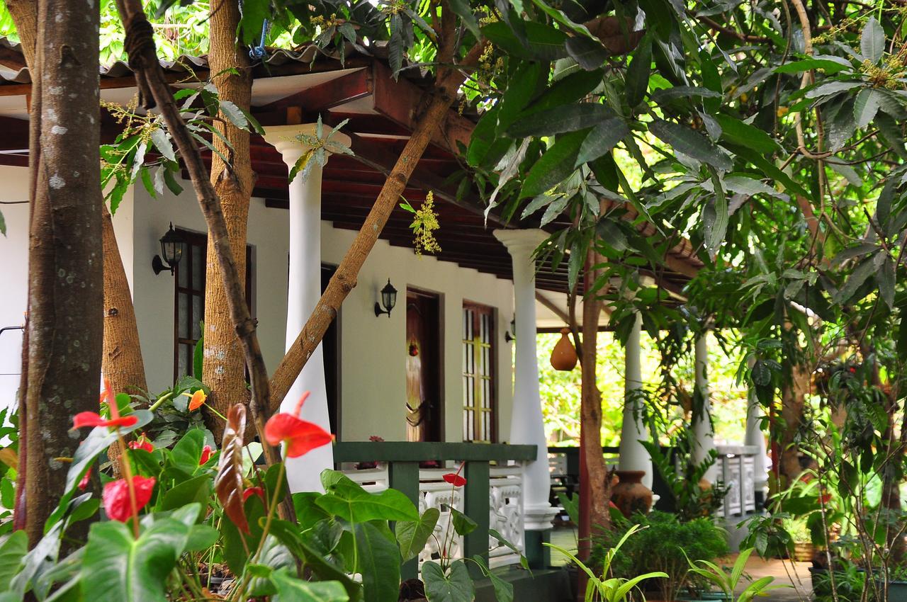 Sigiri Rock Side Home Stay Sigirîya Extérieur photo