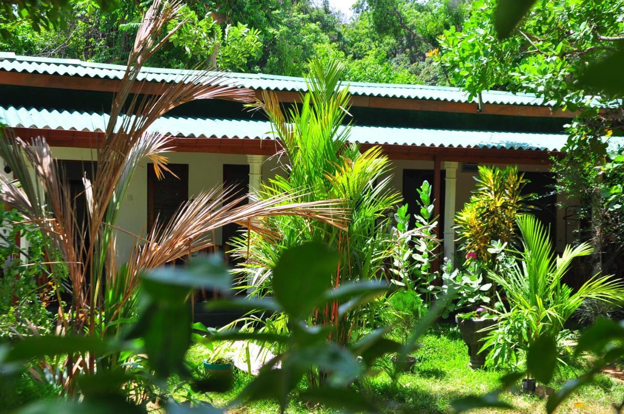 Sigiri Rock Side Home Stay Sigirîya Extérieur photo