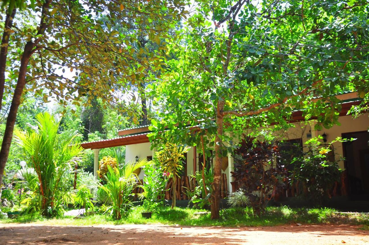 Sigiri Rock Side Home Stay Sigirîya Extérieur photo